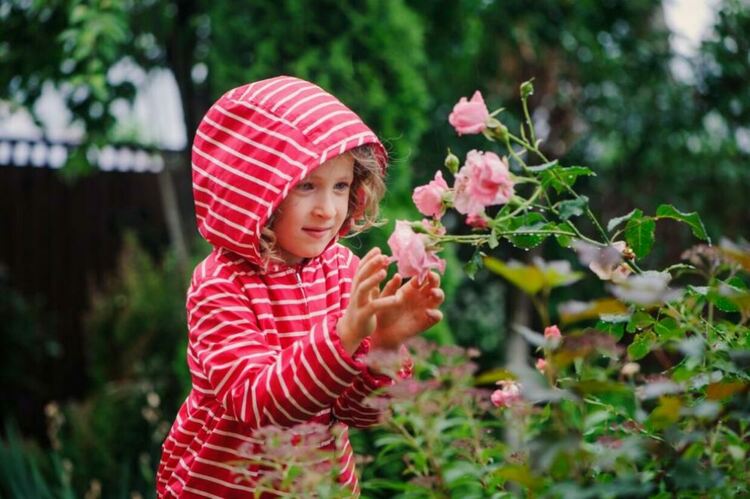 Облачно време с по-ниски температури