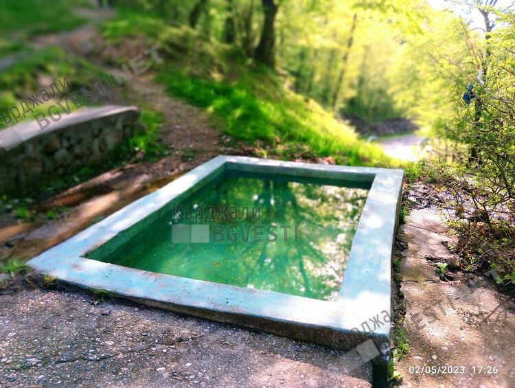 Дамбалъ очаква посетители от цялата страна, в нощта срещу Гергьовден/Хъдърлез/ дъбравата шуми особено