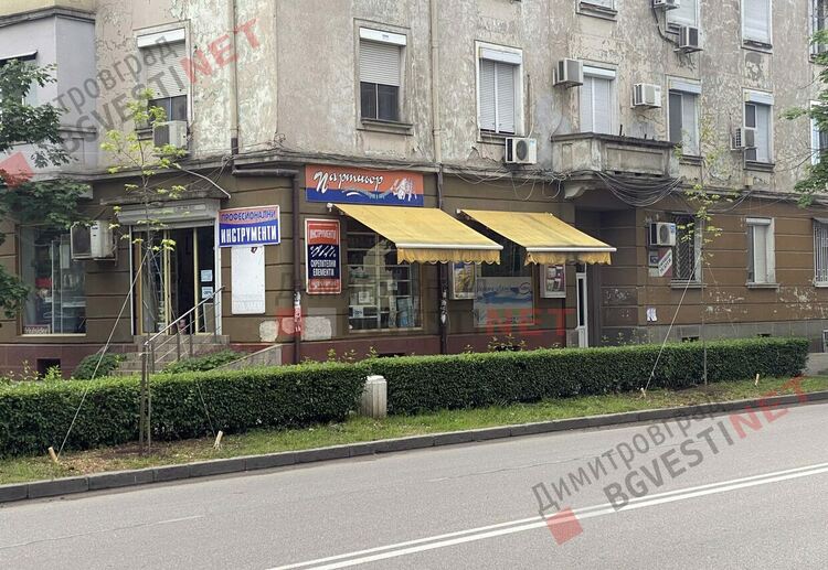Бул. "Трети март" се сдоби с нови дървета. Бихте ли осиновили дърво? - АНКЕТА