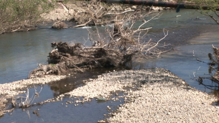 За шеста година организират почистване на река Струма в Перник