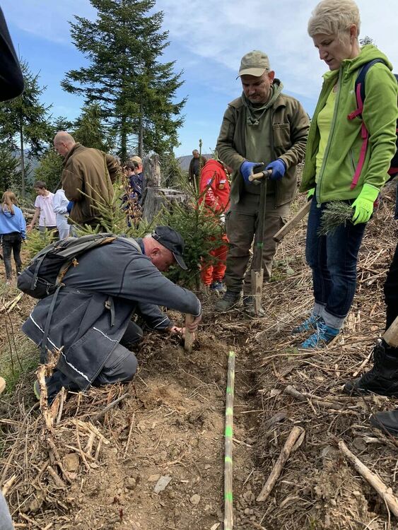 Над 80 деца залесяваха площи унищожени от ветровал  