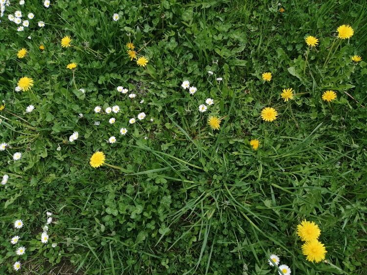 Предимно слънчево и по-топло в неделя