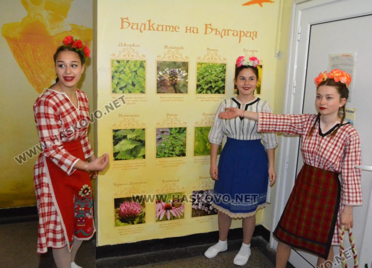 Фондация финансира обновяването на училищните стаи в с. Войводово