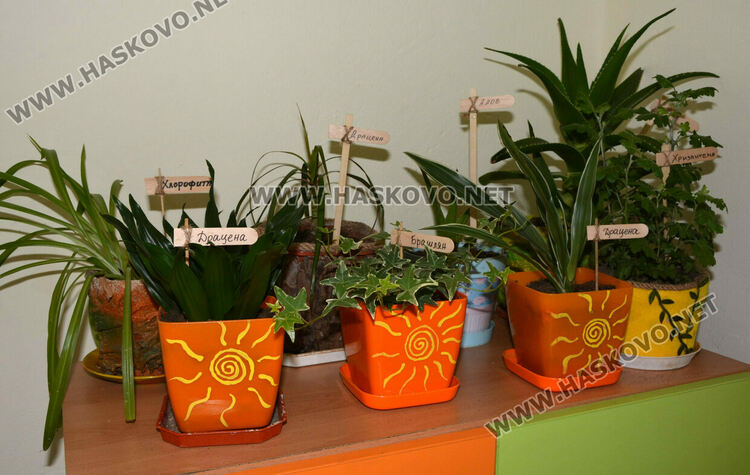 Фондация финансира обновяването на училищните стаи в с. Войводово