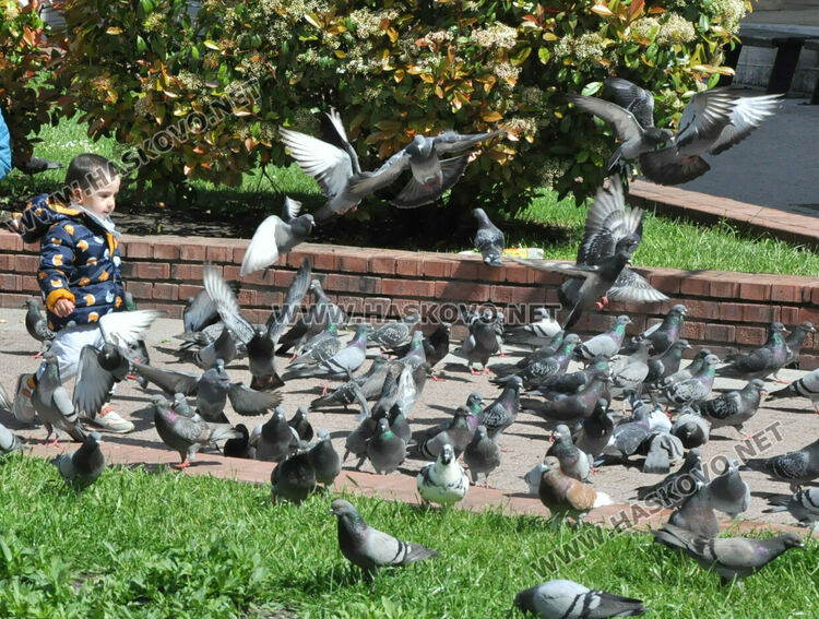 Слънце и облаци в четвъртък, но с повишение на температурата