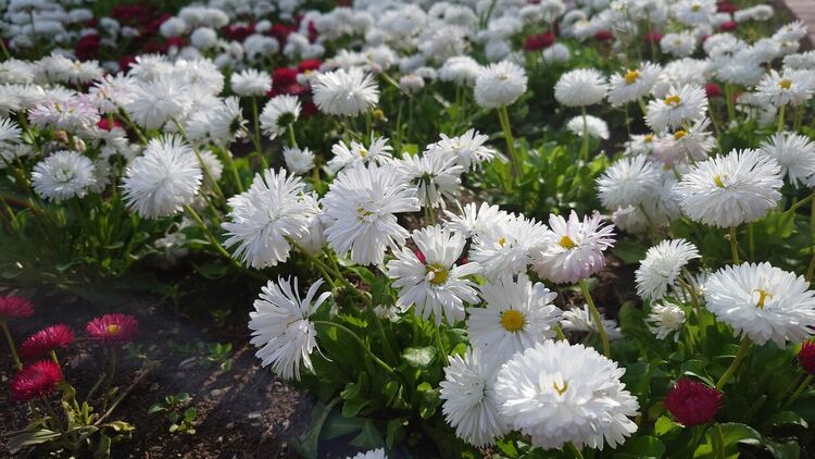 Слънчево на изток, в Западна България - облачно с превалявания