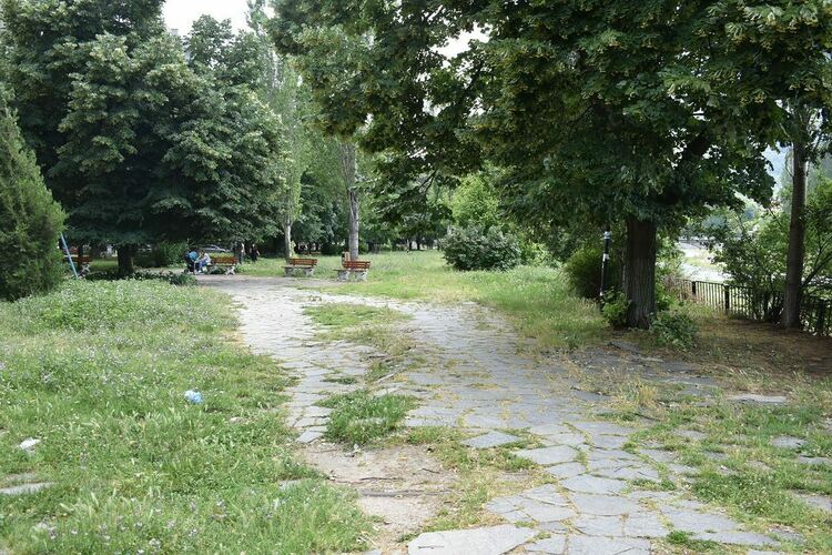 Започва пръскането срещу кърлежи на територията на Асеновград