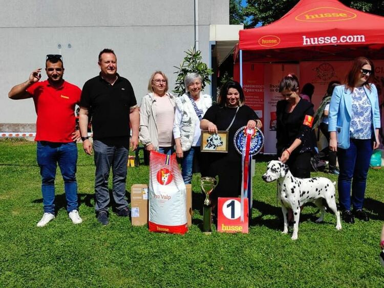 Бакарди е новият стар победител в изложбата за далматини