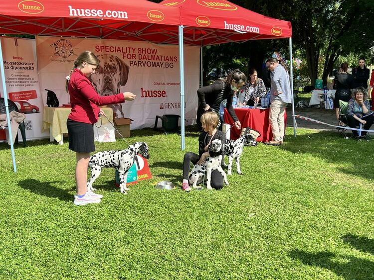 Бакарди е новият стар победител в изложбата за далматини