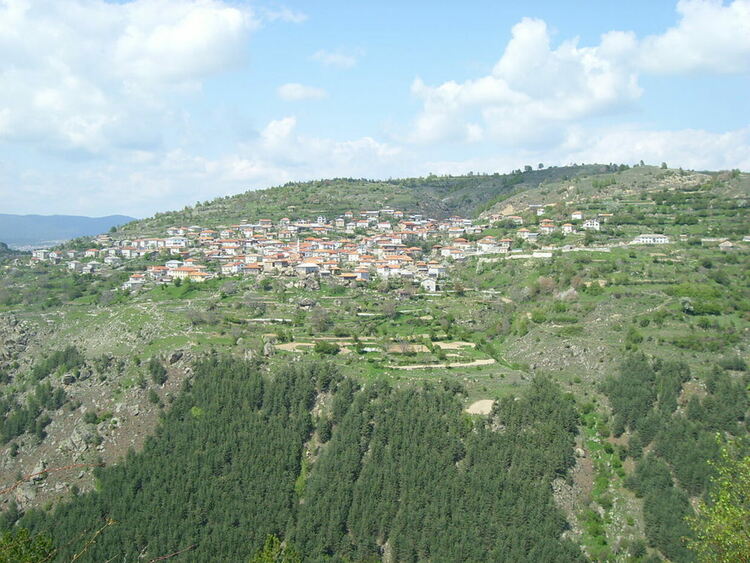 Родопчанин дари 1 млн. лева за парк в родното си Црънча!