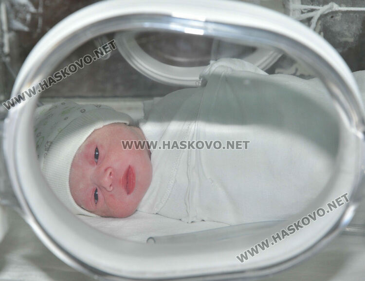 Приемат документи за ин витро и ин виво до 31 май