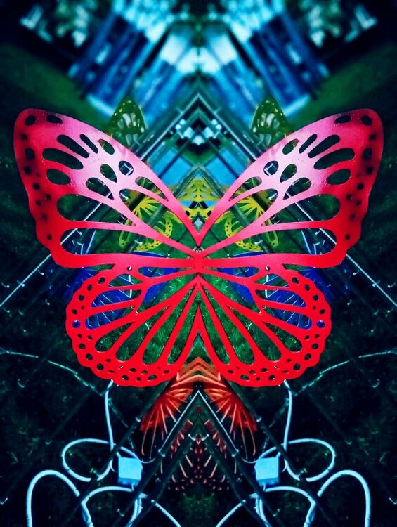 Феерия от светлини и пеперуди радва посетителите на парка в Момчилград