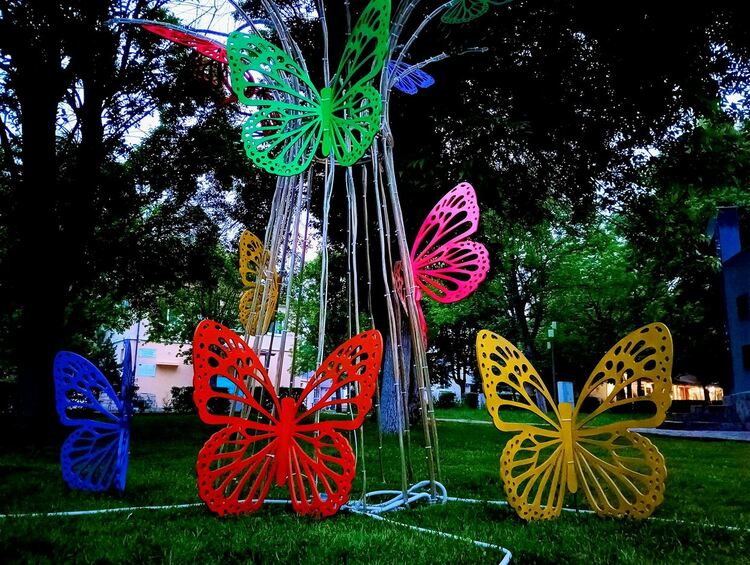 Феерия от светлини и пеперуди радва посетителите на парка в Момчилград