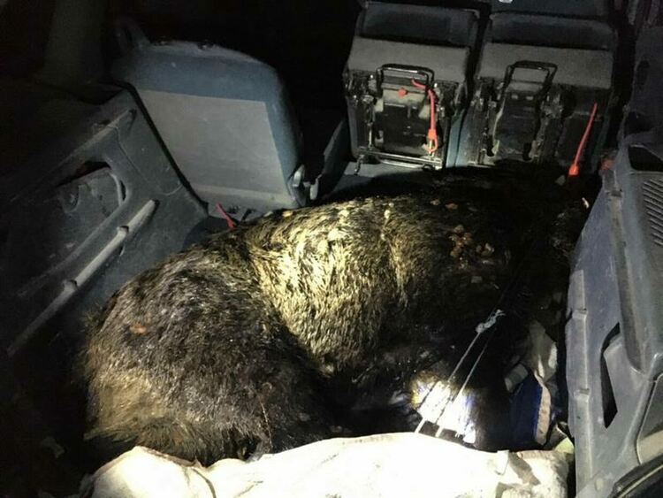 Заловиха бракониери със 150 кг риба в колата