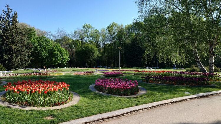 Слънчево и топло до 25 градуса, превалявания следобед