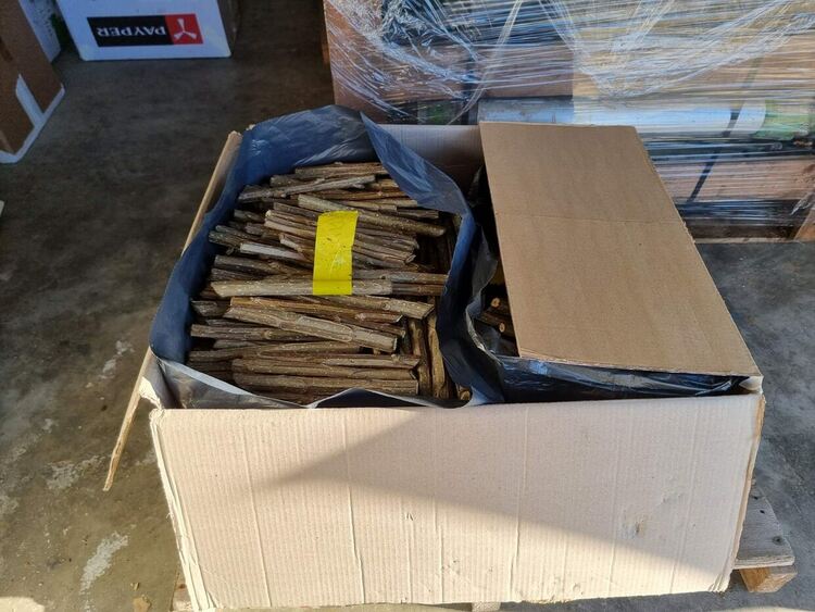 Нови клонове тополи ще отглеждат в горски разсадник на ЮЦДП-Смолян