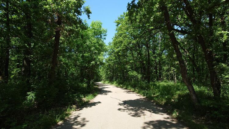 Слънчево и топло до 27 градуса, превалявания следобед