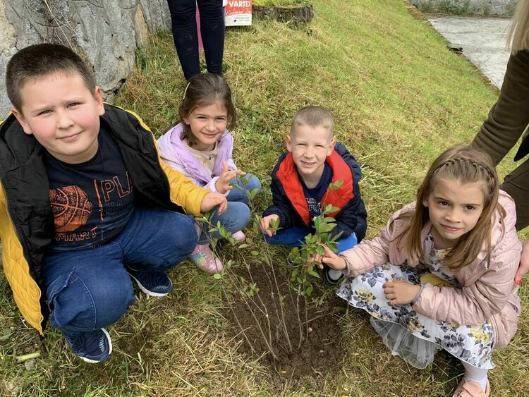 Бъдещи първокласници засадиха дръвчета в двора на ДГ „Славейче“ в Смолян