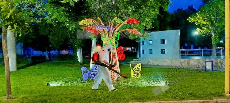 Започна пръскането срещу кърлежи,първи е Момчилград