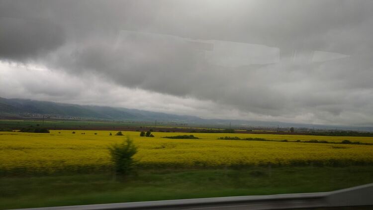 Изминалият месец е най-студеният месец май от 2005 г.