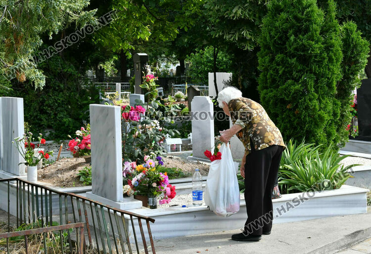 Централен гробищен парк