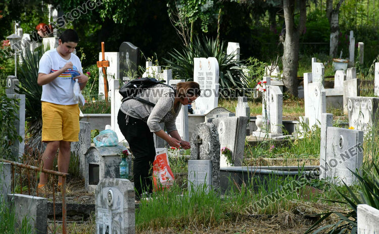 Централен гробищен парк