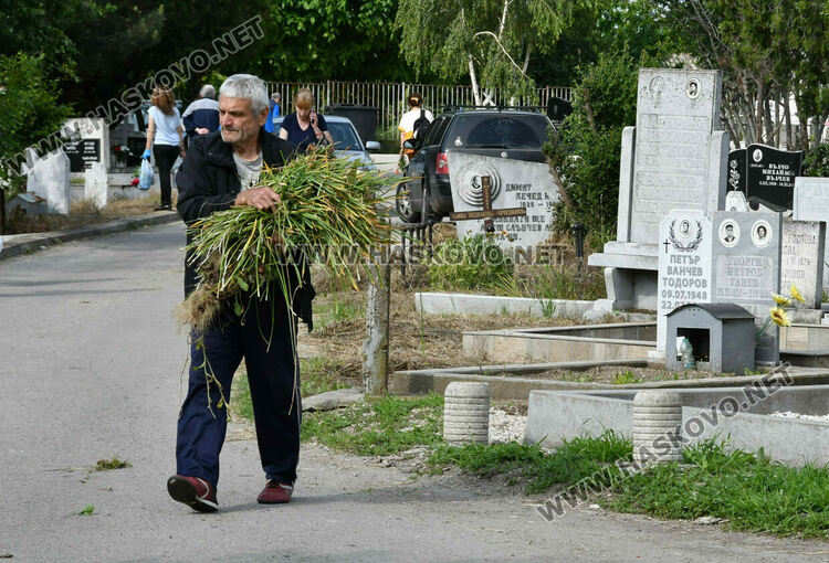 Централен гробищен парк