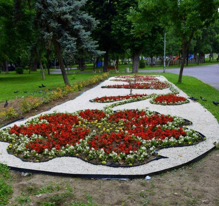 Пъстър килим от цветя в Градския парк на Асеновград 