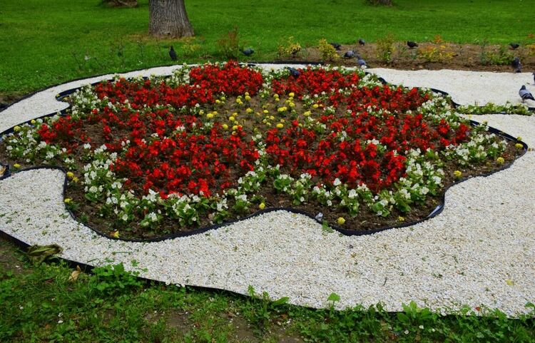 Пъстър килим от цветя в Градския парк на Асеновград 