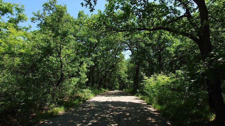 Слънчево и топло до 28 градуса