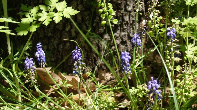 Слънчево и топло във вторник