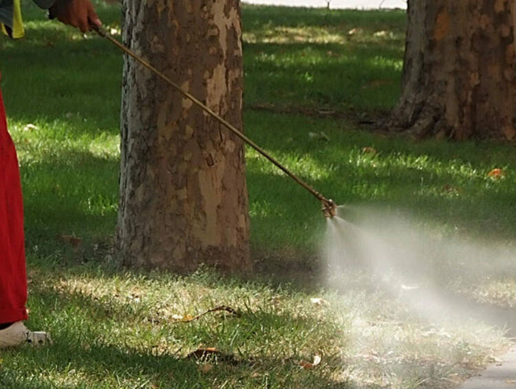 Ще пръскат срещу кърлежи и бълхи