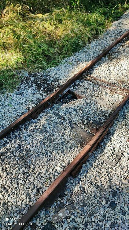 Разследват вандализма срещу детската железница в парк „Простор”, деца са били във влакчето при инцидента