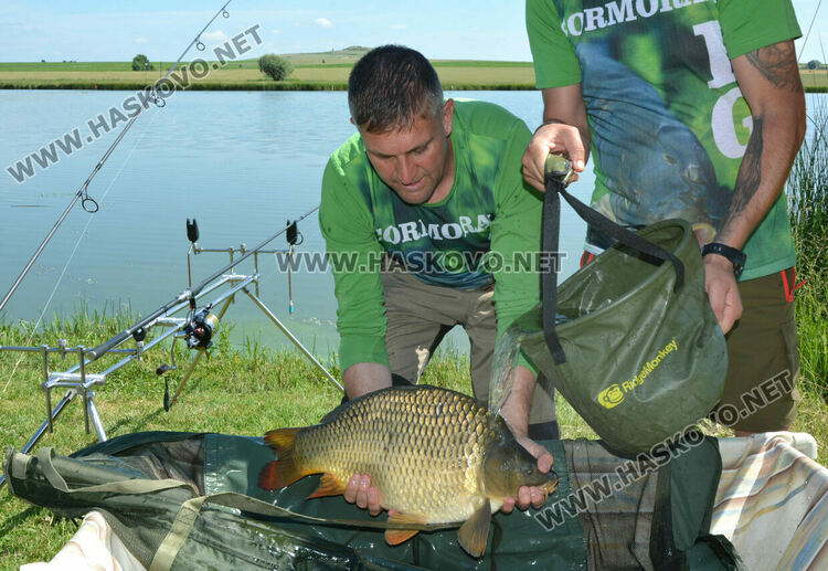 Въдичари в надпревара с шарани след земетресението на турнира по спортен риболов край Горски извор