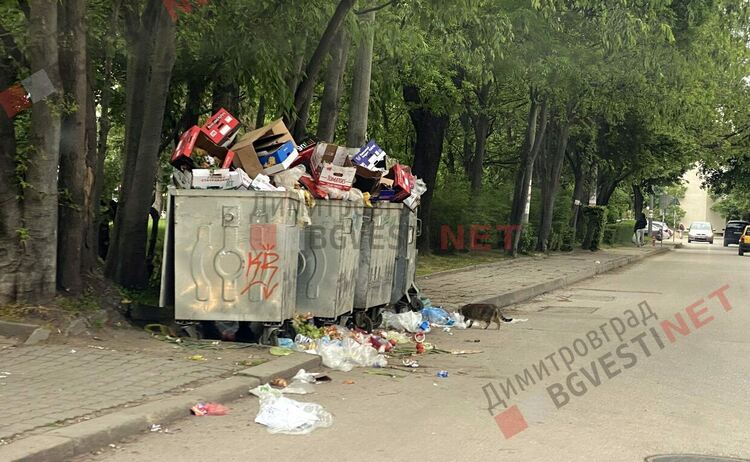 Как 80 метра ни пречат, а Еврокомисията предупреди България, че не се справя с боклука - АНКЕТА