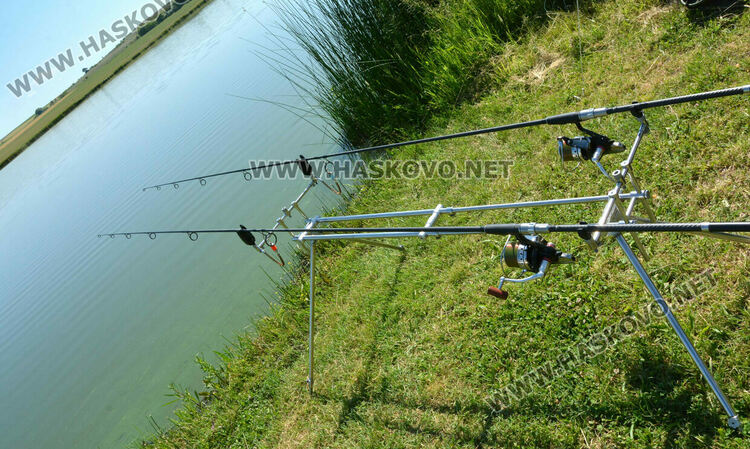 Въдичари в надпревара с шарани след земетресението на турнира по спортен риболов край Горски извор