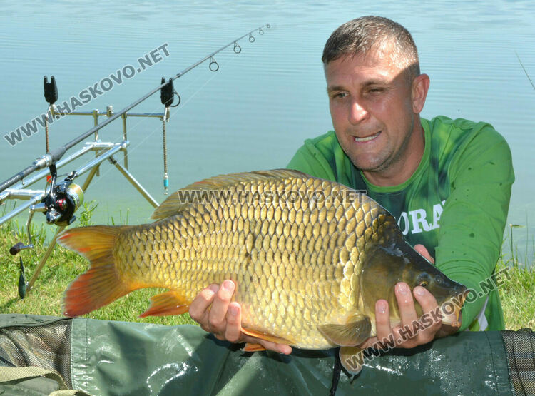 Въдичари в надпревара с шарани след земетресението на турнира по спортен риболов край Горски извор