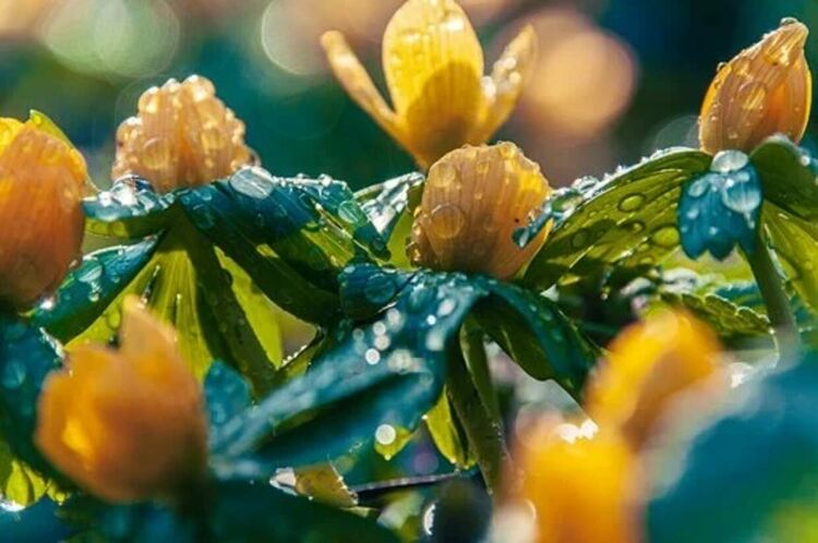 Променлива облачност днес и дъжд привечер