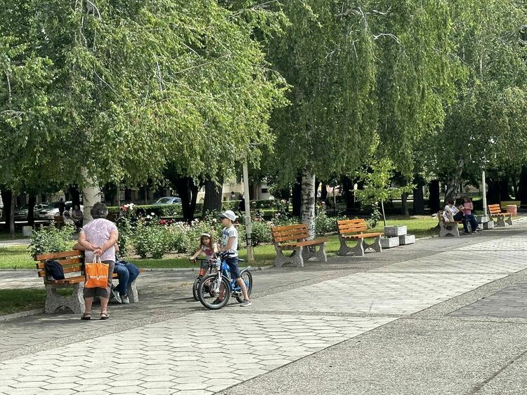 50 нови пейки са поставени в центъра на Първомай
