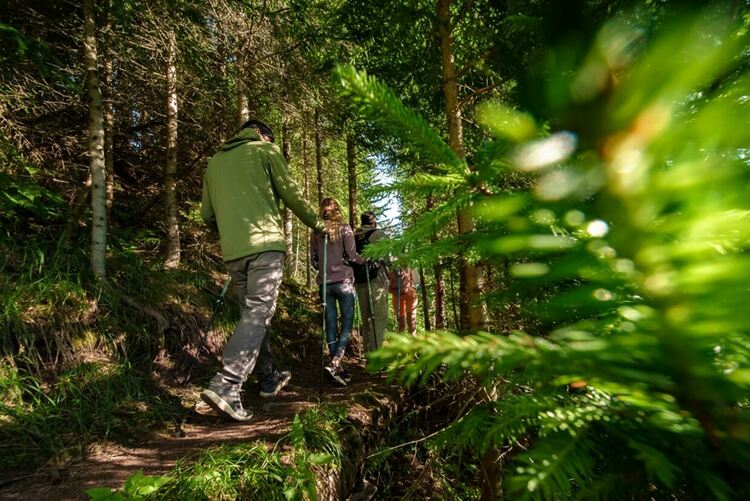 Начало на летния сезон с кампанията „Да почистим Пампорово заедно“