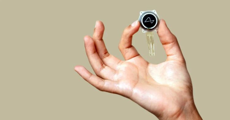 Neuralink ще тества своя мозъчен чип върху хора тази година, обяви Мъск