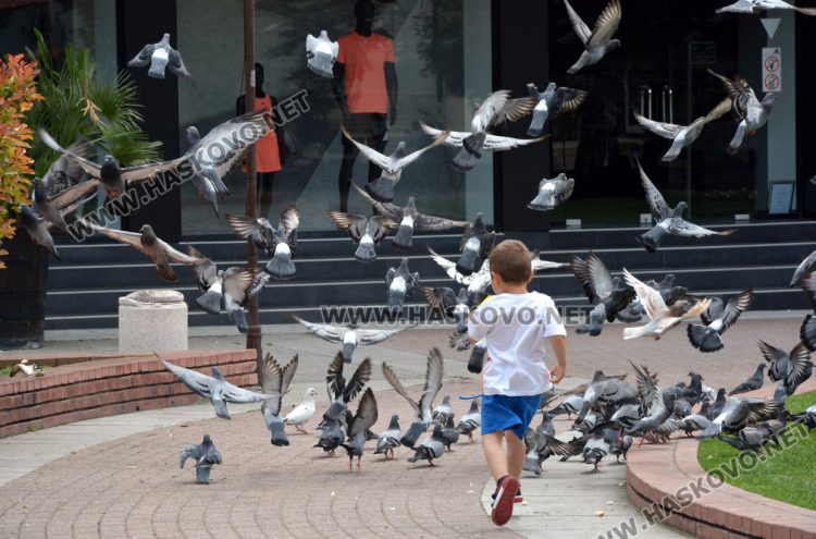 Предимно слънчево във вторник