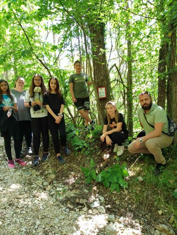 Горски и деца от Смилян поставиха горски аптечки по туристически дестинации в района