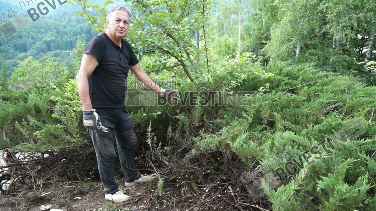 Иван Милин-смолянчанинът, който от години чисти боклуците ни доброволно... и вижда обраслите ни души