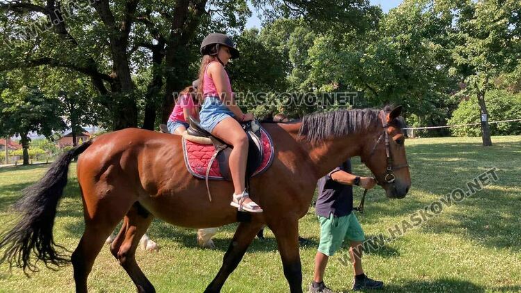 Предпразнично Еньовден в Хасково започна с конна езда за деца 