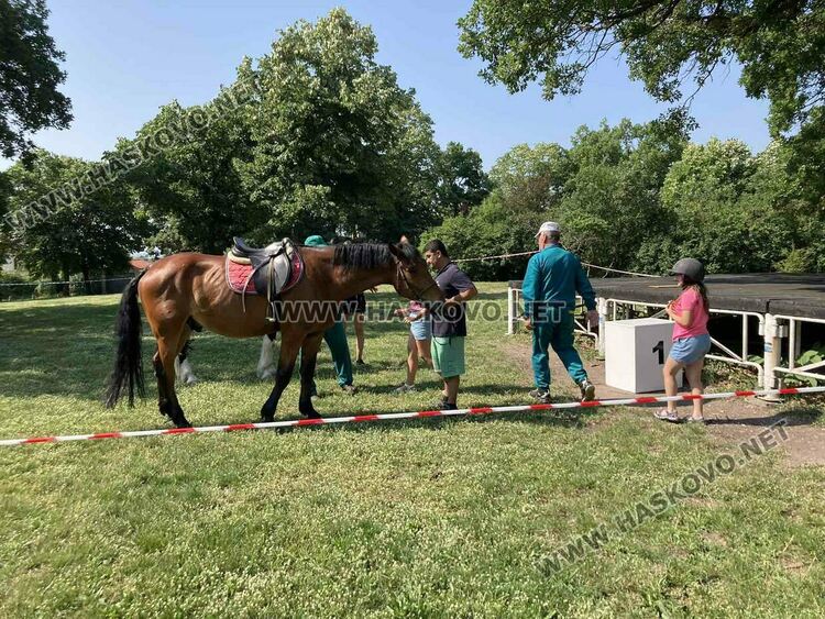 Предпразнично Еньовден в Хасково започна с конна езда за деца 