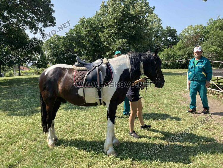 Предпразнично Еньовден в Хасково започна с конна езда за деца 