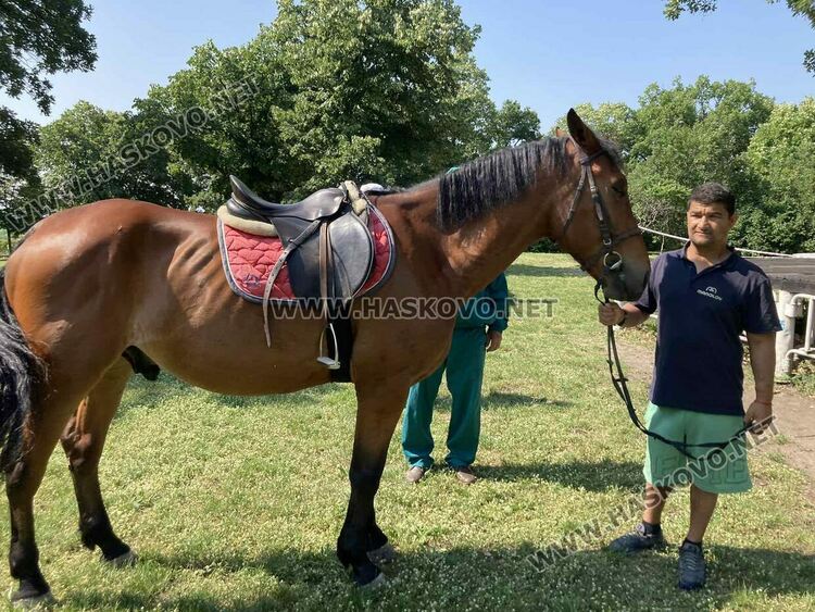Предпразнично Еньовден в Хасково започна с конна езда за деца 