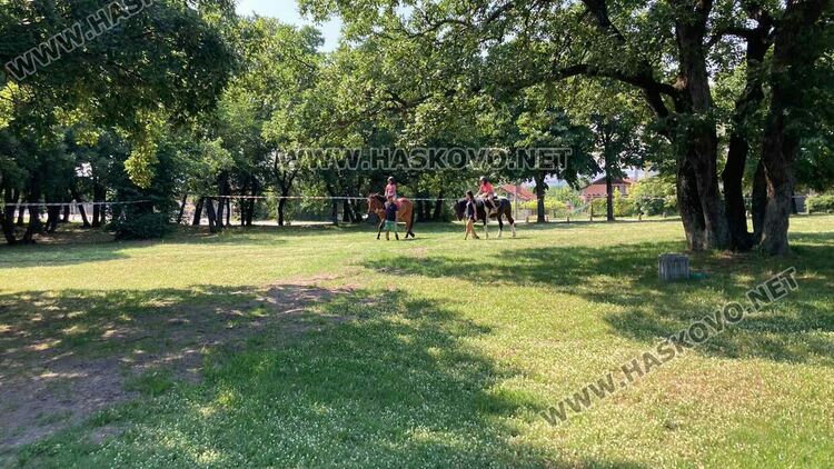 Предпразнично Еньовден в Хасково започна с конна езда за деца 