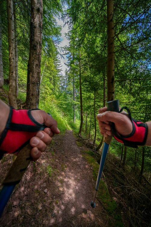 На Еньовден тече кампанията "Да почистим Пампорово заедно"